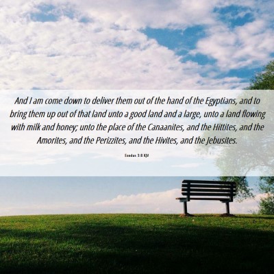 Picture 06 - Exodus 3:8 KJV - And I am come down to deliver them out of the - Bible Verse Picture