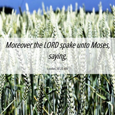 Picture 06 - Exodus 30:22 KJV - Moreover the LORD spake unto Moses, - Bible Verse Picture