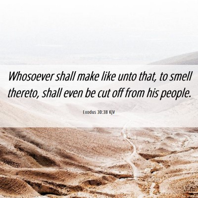 Picture 06 - Exodus 30:38 KJV - Whosoever shall make like unto that, to smell - Bible Verse Picture