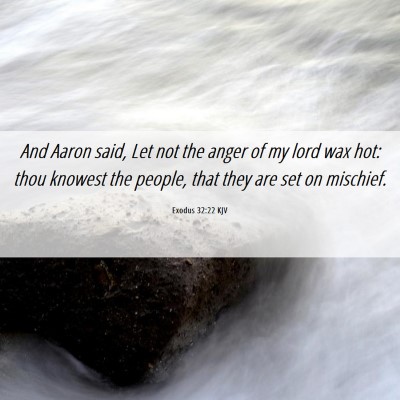 Picture 06 - Exodus 32:22 KJV - And Aaron said, Let not the anger of my lord wax - Bible Verse Picture