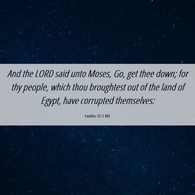 Picture 06 - Exodus 32:7 KJV - And the LORD said unto Moses, Go, get thee down; - Bible Verse Picture