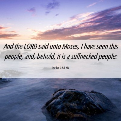 Picture 06 - Exodus 32:9 KJV - And the LORD said unto Moses, I have seen this - Bible Verse Picture