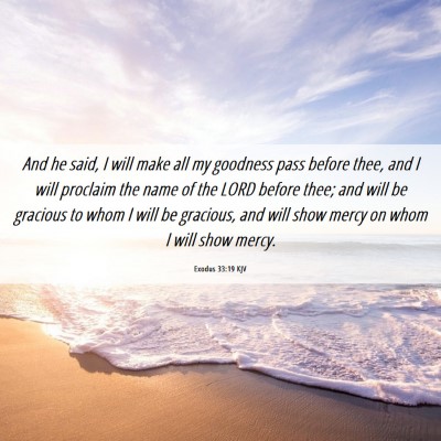 Picture 06 - Exodus 33:19 KJV - And he said, I will make all my goodness pass - Bible Verse Picture