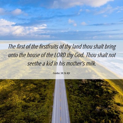 Picture 06 - Exodus 34:26 KJV - The first of the firstfruits of thy land thou - Bible Verse Picture