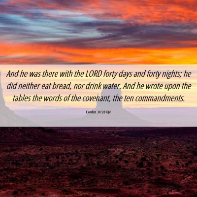 Picture 06 - Exodus 34:28 KJV - And he was there with the LORD forty days and - Bible Verse Picture