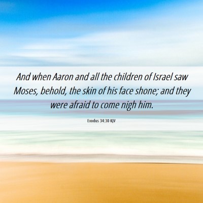 Picture 06 - Exodus 34:30 KJV - And when Aaron and all the children of Israel saw - Bible Verse Picture