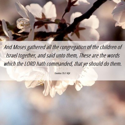 Picture 06 - Exodus 35:1 KJV - And Moses gathered all the congregation of the - Bible Verse Picture