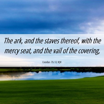 Picture 06 - Exodus 35:12 KJV - The ark, and the staves thereof, with the mercy - Bible Verse Picture