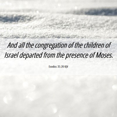 Picture 06 - Exodus 35:20 KJV - And all the congregation of the children of - Bible Verse Picture