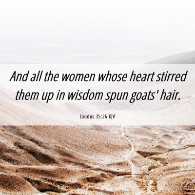 Picture 06 - Exodus 35:26 KJV - And all the women whose heart stirred them up in - Bible Verse Picture