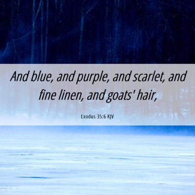 Picture 06 - Exodus 35:6 KJV - And blue, and purple, and scarlet, and fine - Bible Verse Picture