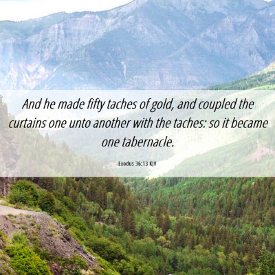 Picture 06 - Exodus 36:13 KJV - And he made fifty taches of gold, and coupled the - Bible Verse Picture