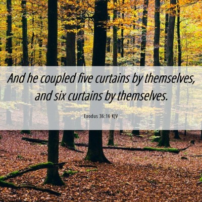 Picture 06 - Exodus 36:16 KJV - And he coupled five curtains by themselves, and - Bible Verse Picture