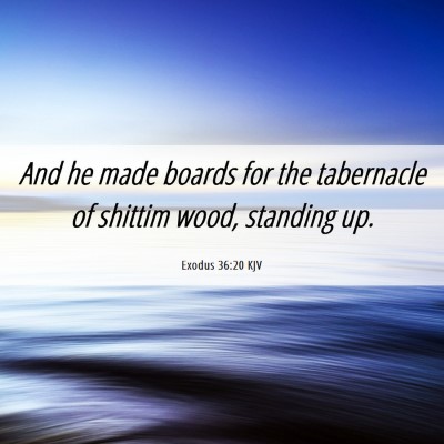 Picture 06 - Exodus 36:20 KJV - And he made boards for the tabernacle of shittim - Bible Verse Picture