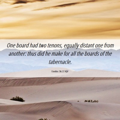 Picture 06 - Exodus 36:22 KJV - One board had two tenons, equally distant one - Bible Verse Picture