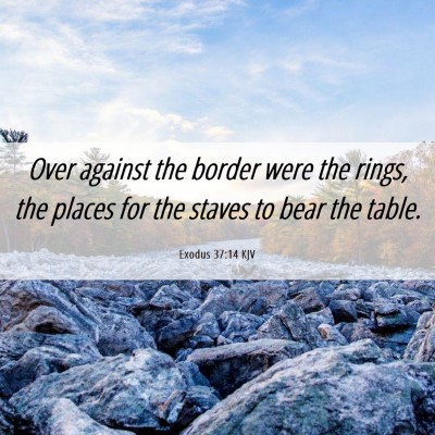 Picture 06 - Exodus 37:14 KJV - Over against the border were the rings, the - Bible Verse Picture