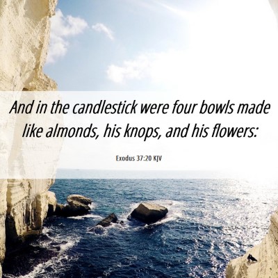 Picture 06 - Exodus 37:20 KJV - And in the candlestick were four bowls made like - Bible Verse Picture