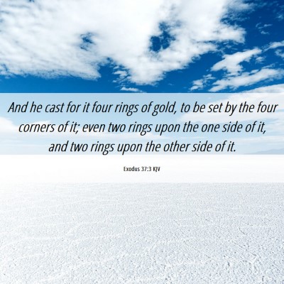 Picture 06 - Exodus 37:3 KJV - And he cast for it four rings of gold, to be set - Bible Verse Picture