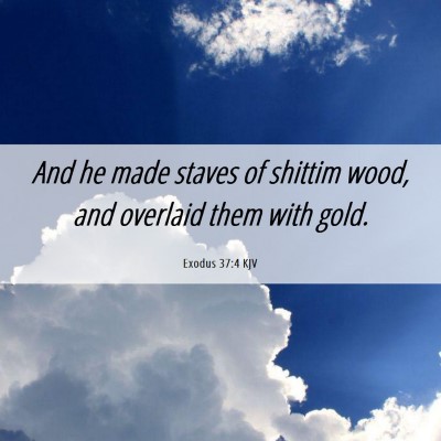 Picture 06 - Exodus 37:4 KJV - And he made staves of shittim wood, and overlaid - Bible Verse Picture