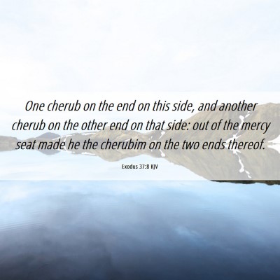 Picture 06 - Exodus 37:8 KJV - One cherub on the end on this side, and another - Bible Verse Picture