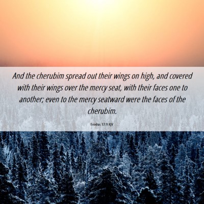 Picture 06 - Exodus 37:9 KJV - And the cherubim spread out their wings on high, - Bible Verse Picture