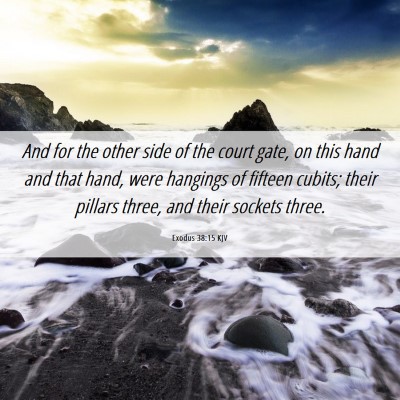 Picture 06 - Exodus 38:15 KJV - And for the other side of the court gate, on this - Bible Verse Picture