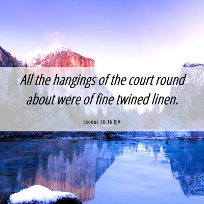 Picture 06 - Exodus 38:16 KJV - All the hangings of the court round about were of - Bible Verse Picture