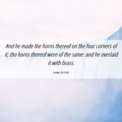 Picture 06 - Exodus 38:2 KJV - And he made the horns thereof on the four corners - Bible Verse Picture