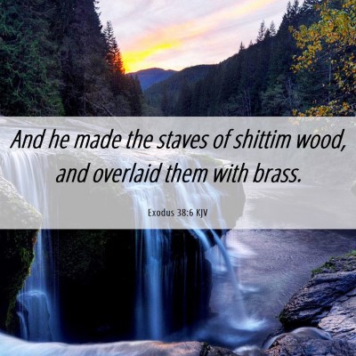Picture 06 - Exodus 38:6 KJV - And he made the staves of shittim wood, and - Bible Verse Picture