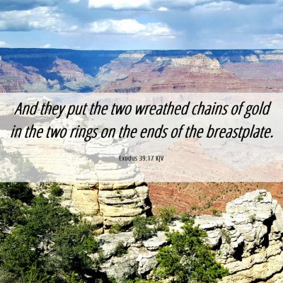 Picture 06 - Exodus 39:17 KJV - And they put the two wreathed chains of gold in - Bible Verse Picture