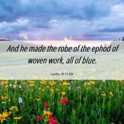 Picture 06 - Exodus 39:22 KJV - And he made the robe of the ephod of woven work, - Bible Verse Picture