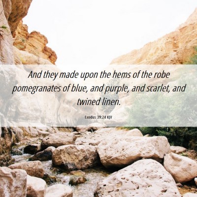 Picture 06 - Exodus 39:24 KJV - And they made upon the hems of the robe - Bible Verse Picture