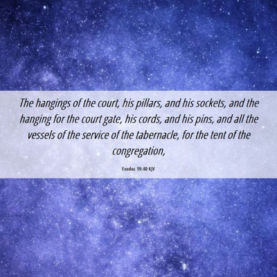 Picture 06 - Exodus 39:40 KJV - The hangings of the court, his pillars, and his - Bible Verse Picture