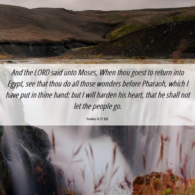 Picture 06 - Exodus 4:21 KJV - And the LORD said unto Moses, When thou goest to - Bible Verse Picture