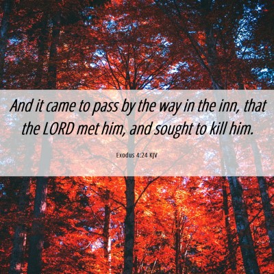 Picture 06 - Exodus 4:24 KJV - And it came to pass by the way in the inn, that - Bible Verse Picture