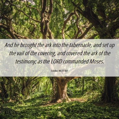 Picture 06 - Exodus 40:21 KJV - And he brought the ark into the tabernacle, and - Bible Verse Picture