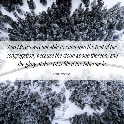 Picture 06 - Exodus 40:35 KJV - And Moses was not able to enter into the tent of - Bible Verse Picture