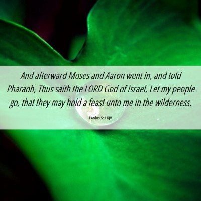 Picture 06 - Exodus 5:1 KJV - And afterward Moses and Aaron went in, and told - Bible Verse Picture