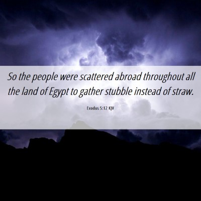 Picture 06 - Exodus 5:12 KJV - So the people were scattered abroad throughout - Bible Verse Picture