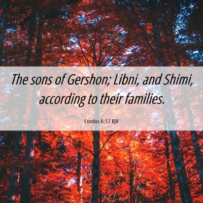 Picture 06 - Exodus 6:17 KJV - The sons of Gershon; Libni, and Shimi, according - Bible Verse Picture