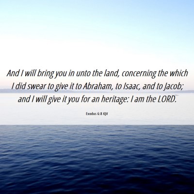 Picture 06 - Exodus 6:8 KJV - And I will bring you in unto the land, concerning - Bible Verse Picture