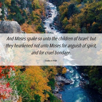 Picture 06 - Exodus 6:9 KJV - And Moses spake so unto the children of Israel: - Bible Verse Picture
