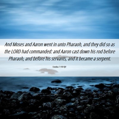 Picture 06 - Exodus 7:10 KJV - And Moses and Aaron went in unto Pharaoh, and - Bible Verse Picture