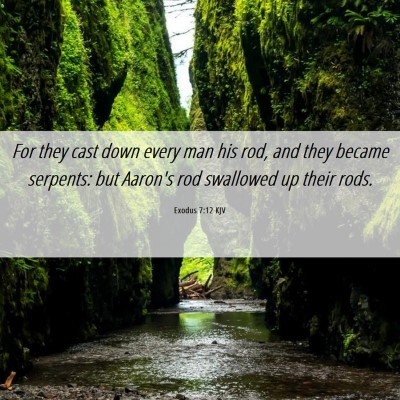 Picture 06 - Exodus 7:12 KJV - For they cast down every man his rod, and they - Bible Verse Picture