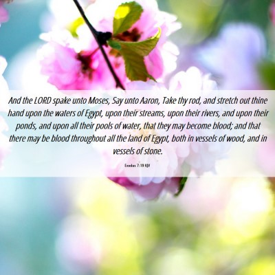 Picture 06 - Exodus 7:19 KJV - And the LORD spake unto Moses, Say unto Aaron, - Bible Verse Picture