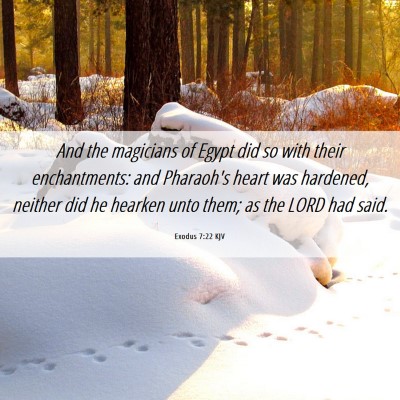 Picture 06 - Exodus 7:22 KJV - And the magicians of Egypt did so with their - Bible Verse Picture