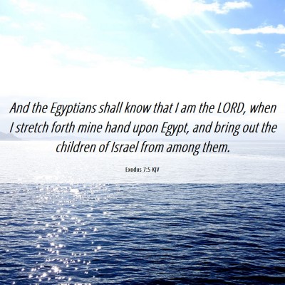 Picture 06 - Exodus 7:5 KJV - And the Egyptians shall know that I am the LORD, - Bible Verse Picture