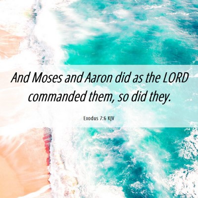 Picture 06 - Exodus 7:6 KJV - And Moses and Aaron did as the LORD commanded - Bible Verse Picture