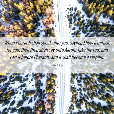 Picture 06 - Exodus 7:9 KJV - When Pharaoh shall speak unto you, saying, Show a - Bible Verse Picture