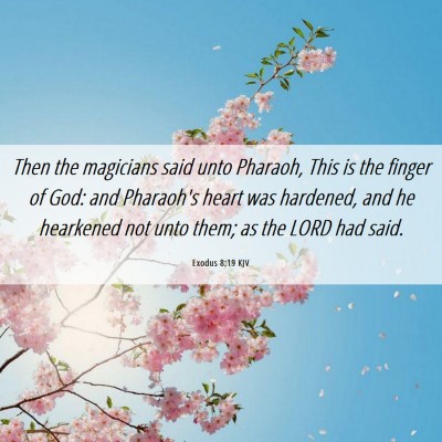 Picture 06 - Exodus 8:19 KJV - Then the magicians said unto Pharaoh, This is the - Bible Verse Picture